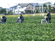 ありあけ園実習の写真